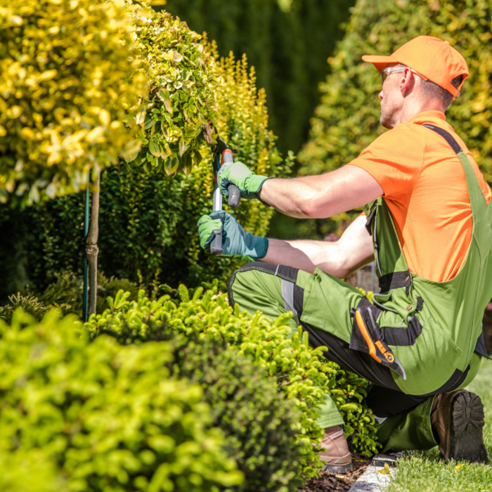 Join the team responsible for maintaining beautiful public spaces across the borough. From grounds maintenance to waste services, these hands-on roles keep Antrim and Newtownabbey clean, safe, and welcoming.